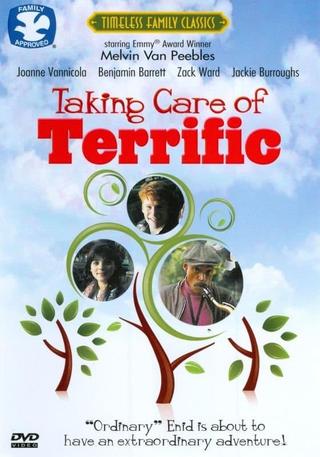 Taking Care of Terrific poster