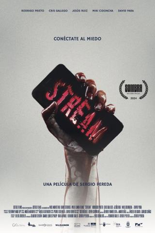Stream poster