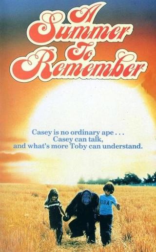A Summer to Remember poster