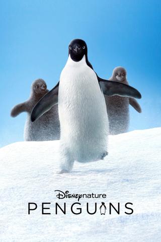 Penguins poster