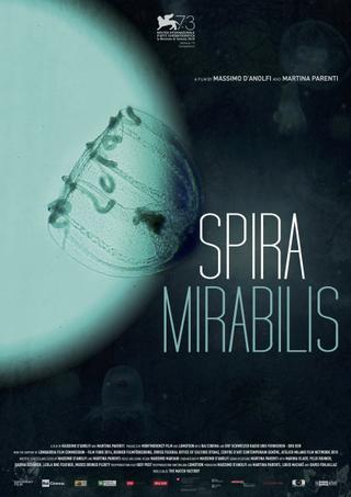 Miraculous Spiral poster