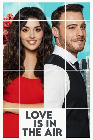 Love Is in the Air poster