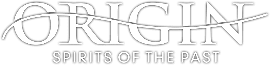Origin: Spirits of the Past logo