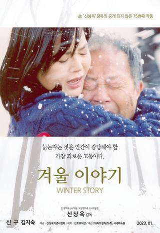 Winter Story poster