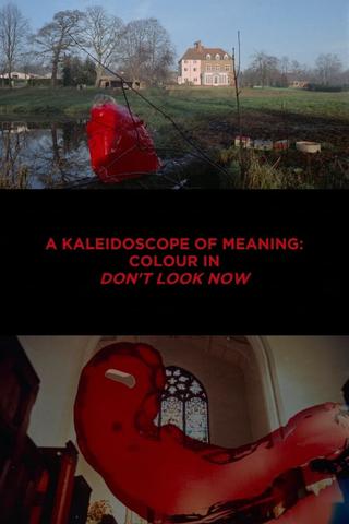 A Kaleidoscope of Meaning: Colour in Don't Look Now poster