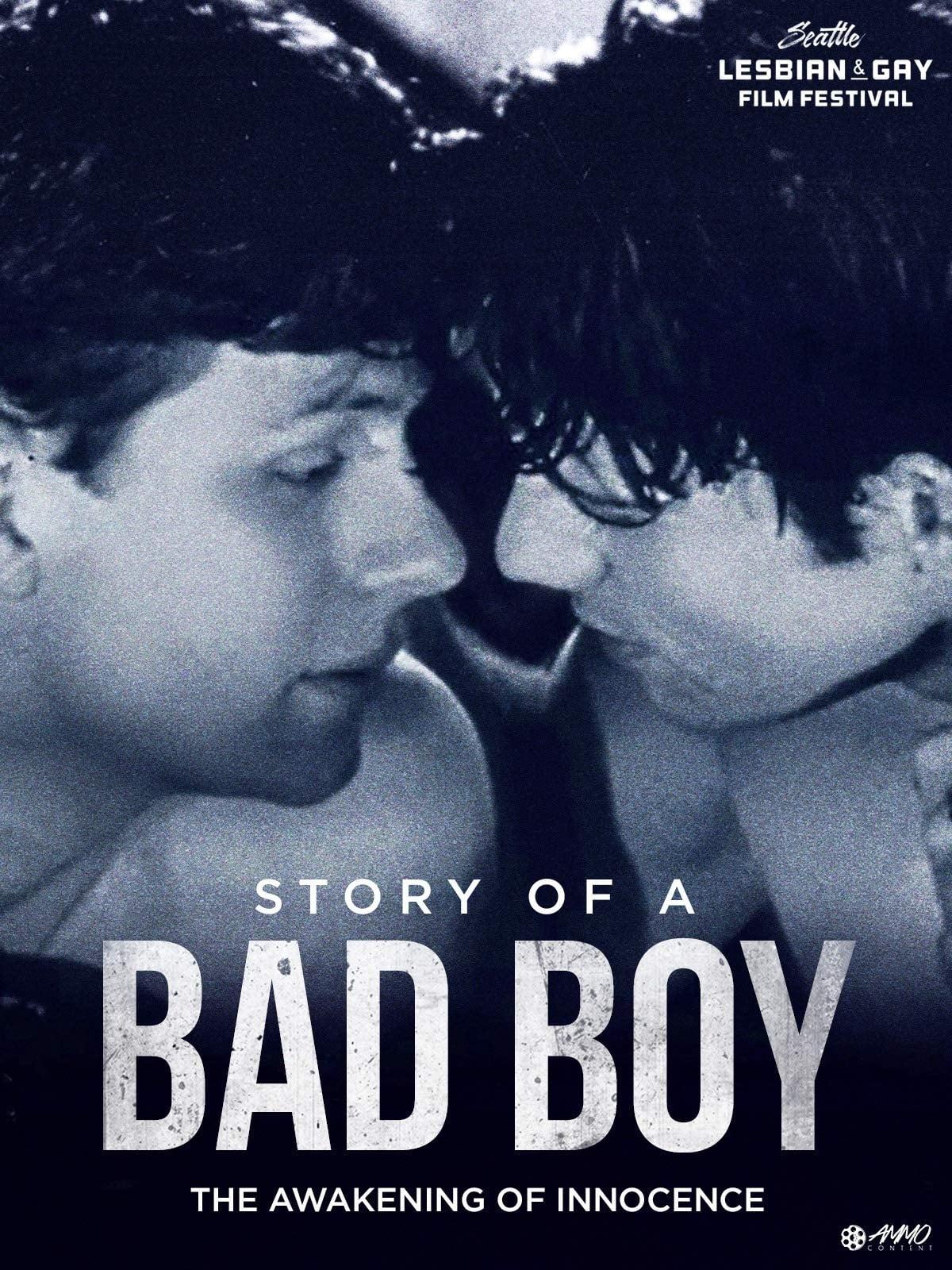 Story of a Bad Boy poster