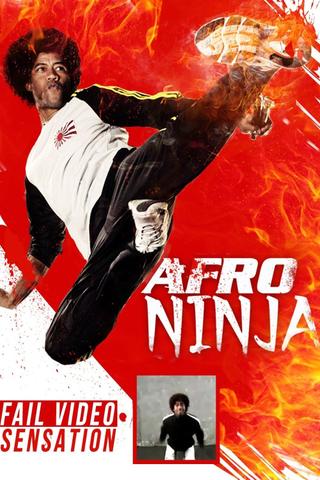 Afro Ninja poster