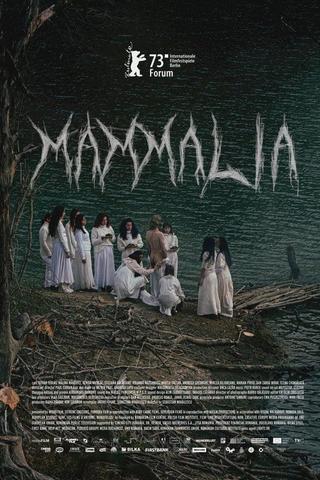 Mammalia poster