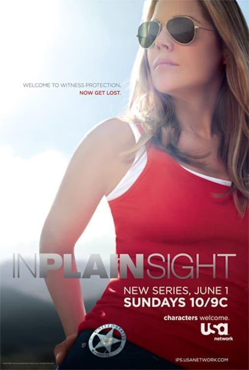 In Plain Sight poster
