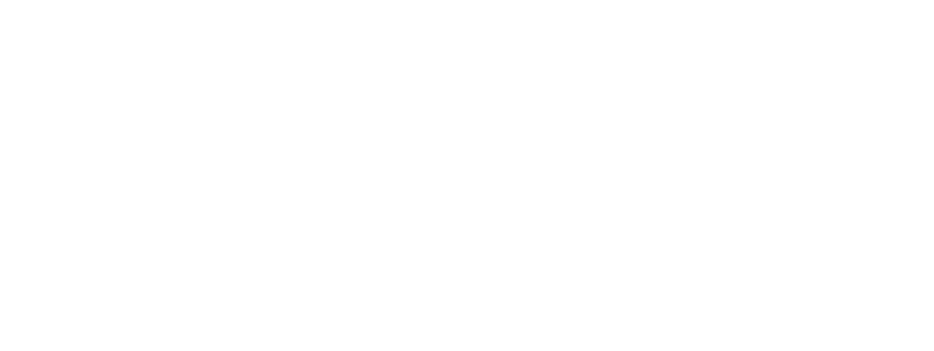 Free Solo logo