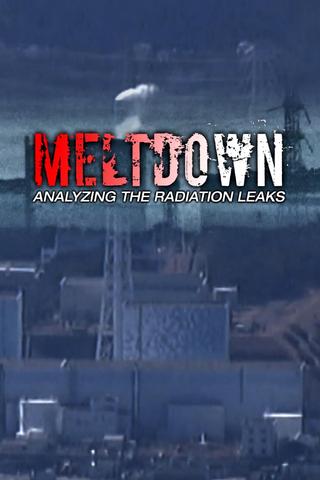 Meltdown:  Analyzing the Radiation Leaks poster