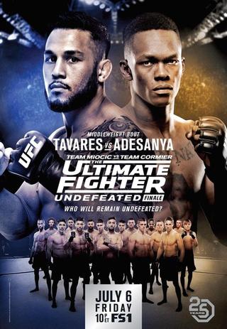 The Ultimate Fighter 27 Finale poster