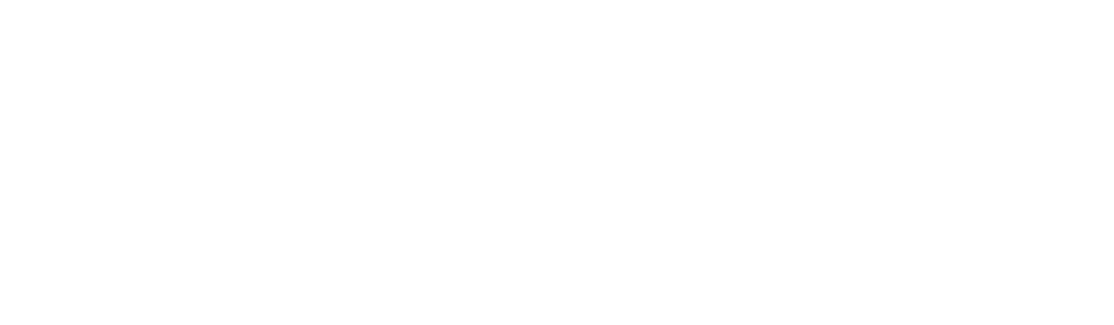 Fast & Furious logo