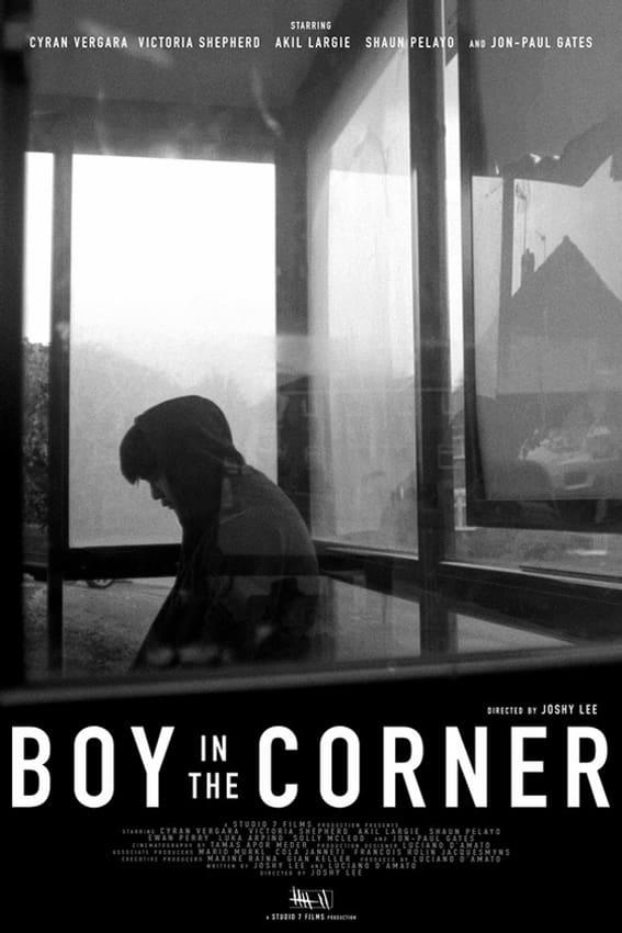 Boy in the Corner poster