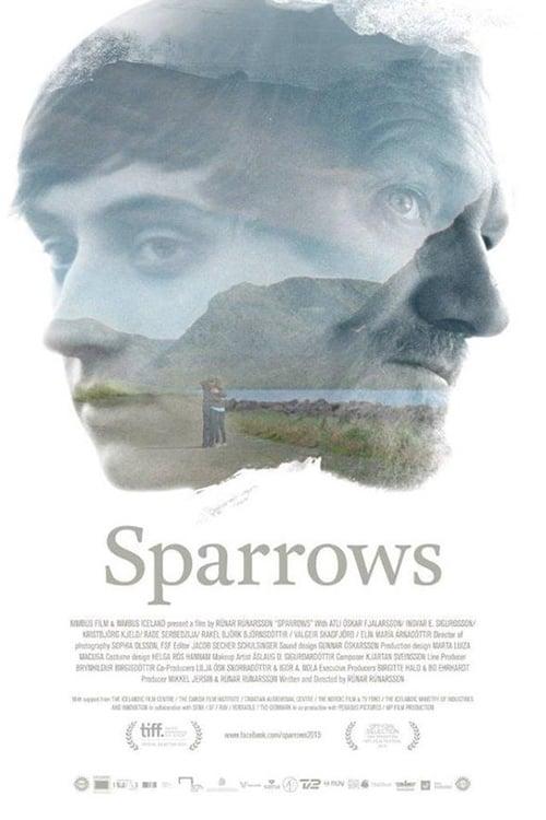 Sparrows poster