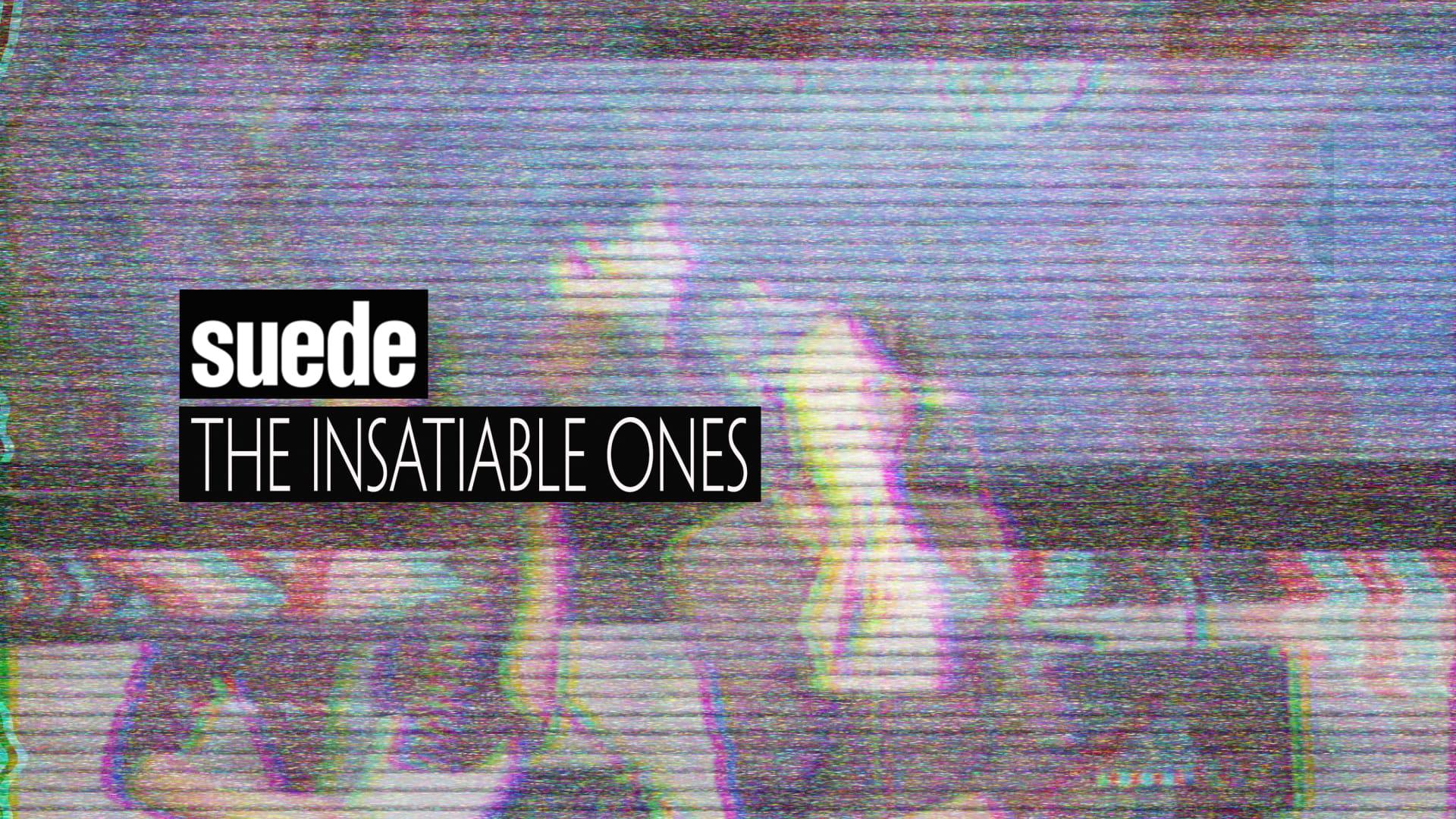 Suede: The Insatiable Ones backdrop