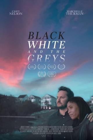 Black White and the Greys poster