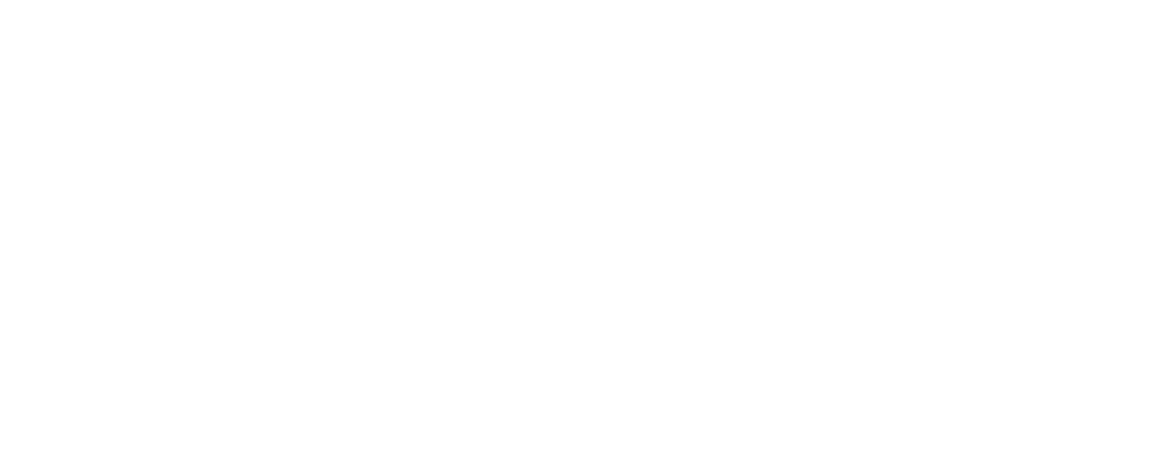 Battle of the Year logo