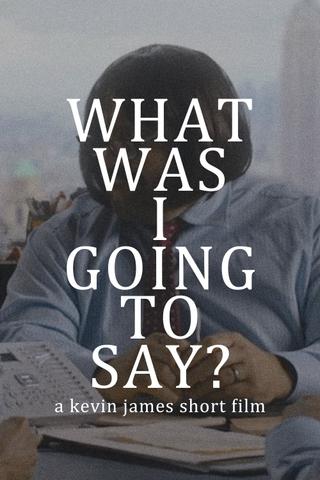What Was I Going to Say? poster