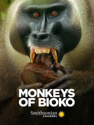 Monkeys of Bioko poster