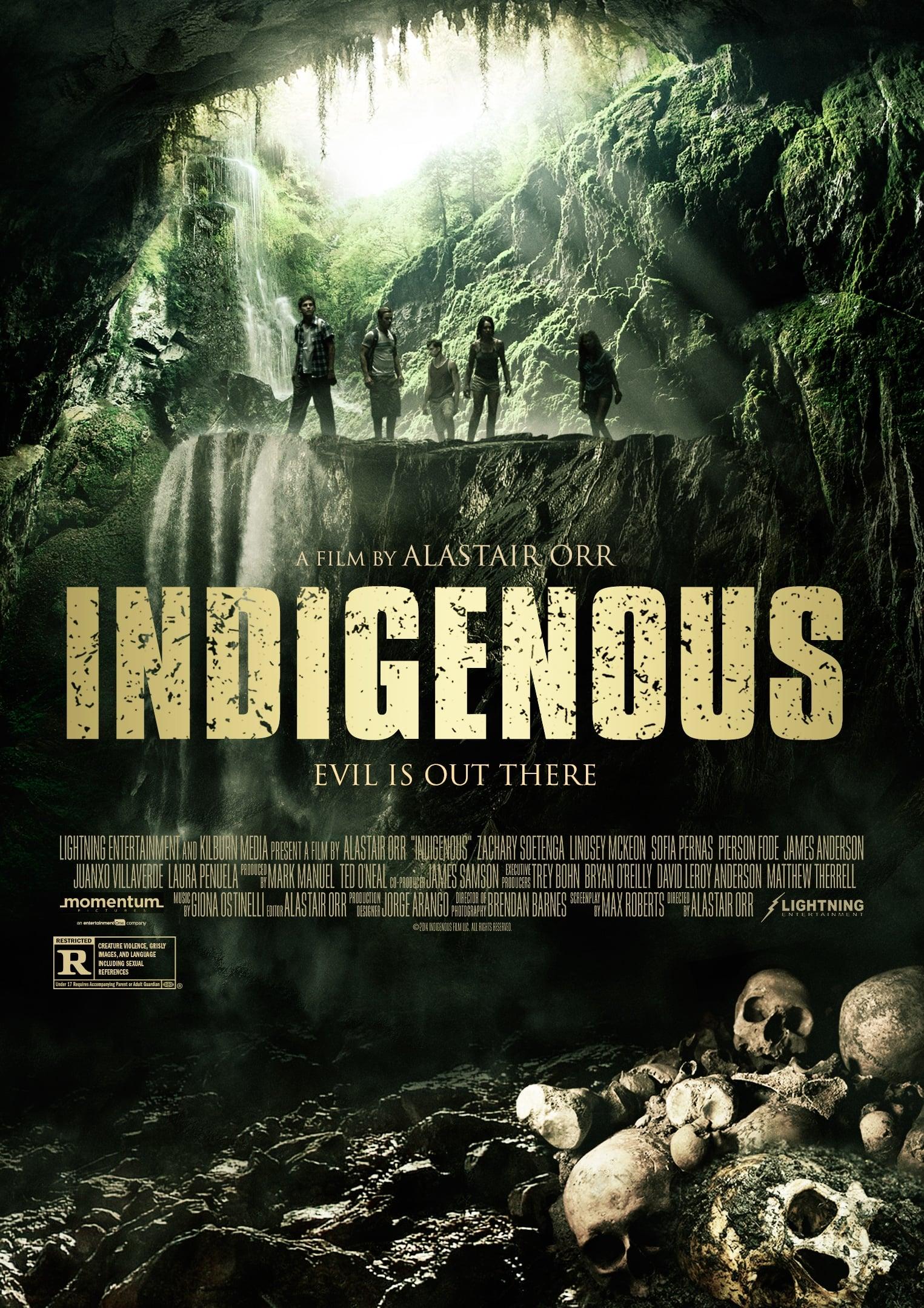 Indigenous poster
