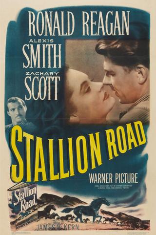 Stallion Road poster