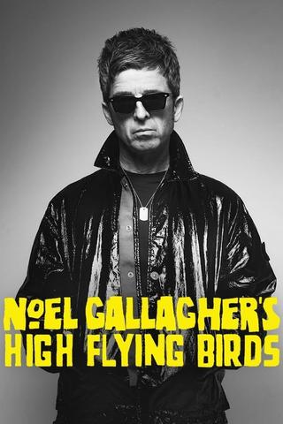 Noel Gallagher's High Flying Birds en concert au Zénith de Paris poster