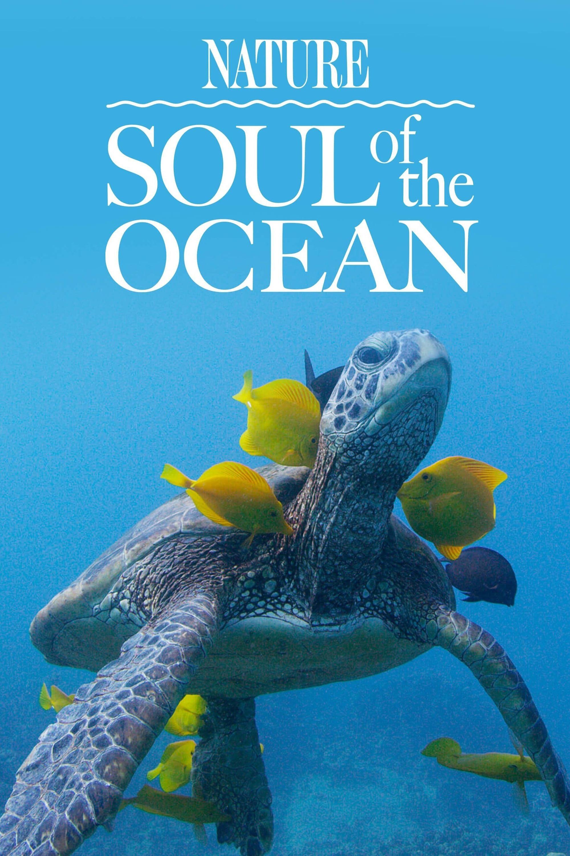 Soul of the Ocean poster