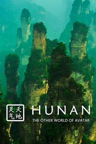 Hunan: The Other World of Avatar poster