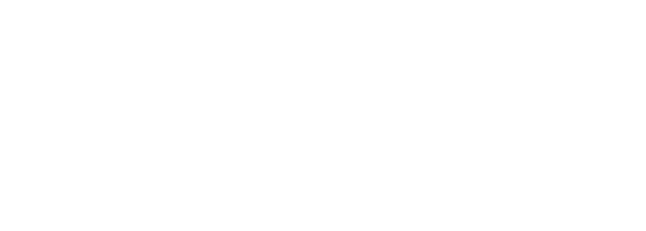 Inspector Koo logo
