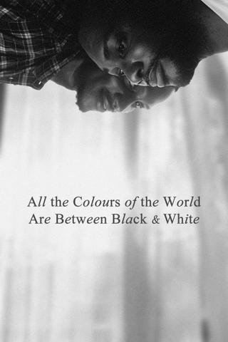 All the Colours of the World Are Between Black and White poster