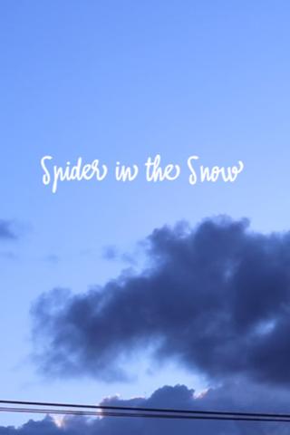 Spider in the Snow poster