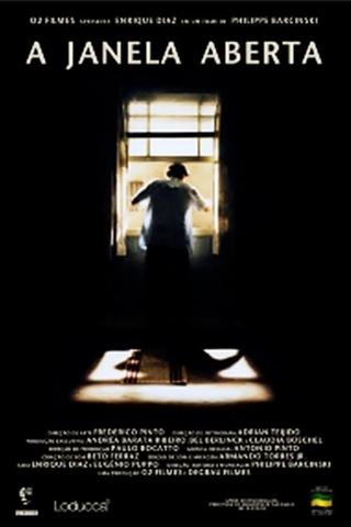 The Open Window poster