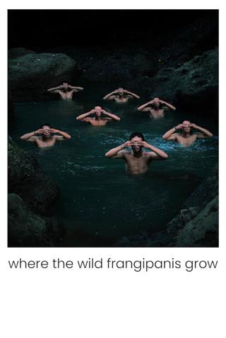 Where The Wild Frangipanis Grow poster