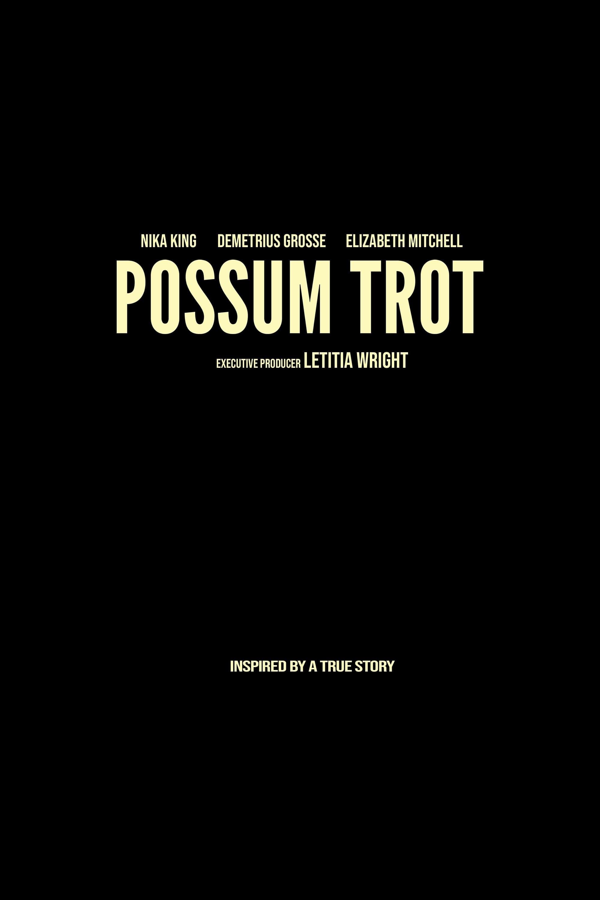 Possum Trot poster