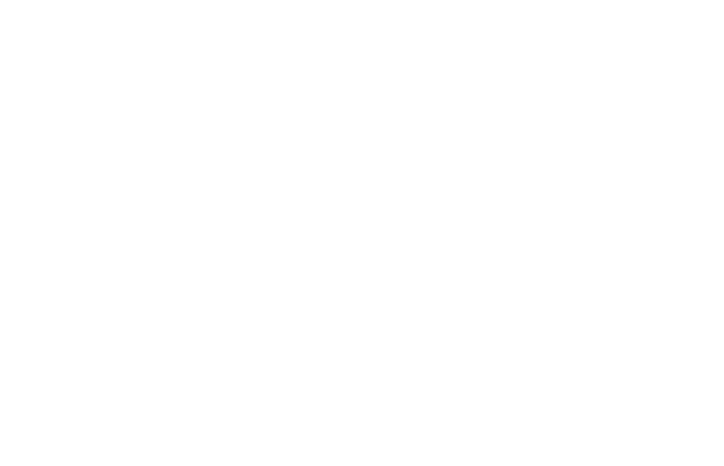 The Other Side logo