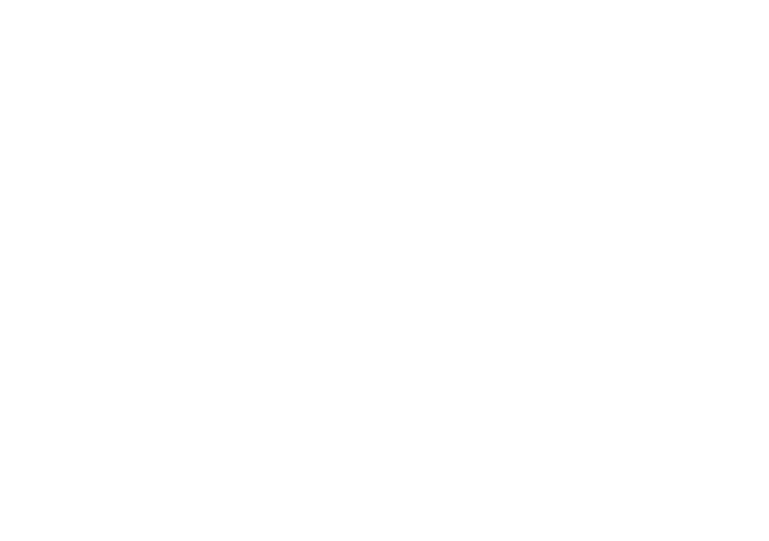 Che: Part One logo