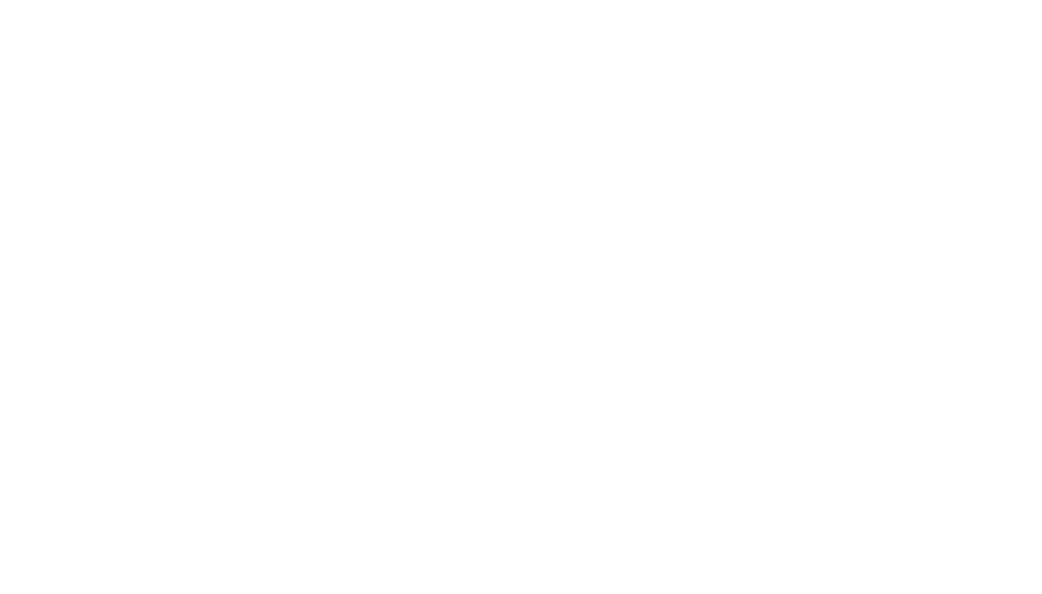 Che: Part Two logo