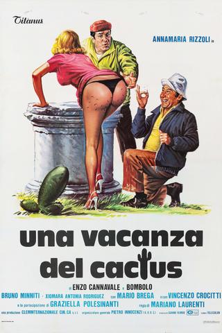 Una vacanza del cactus poster