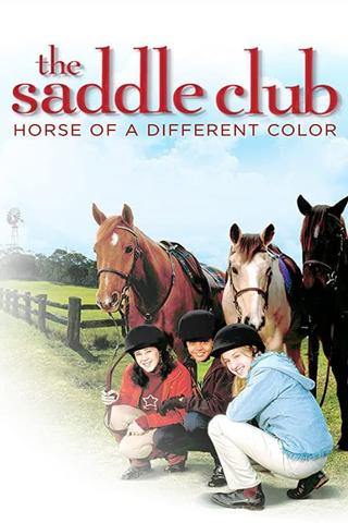 Saddle Club: Horse of a Different Color poster