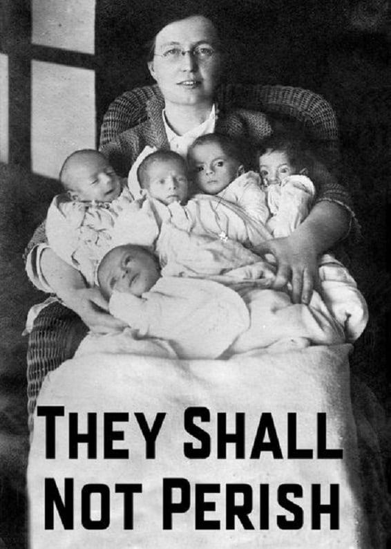 They Shall Not Perish poster