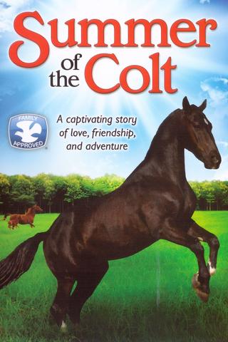 Summer of the Colt poster