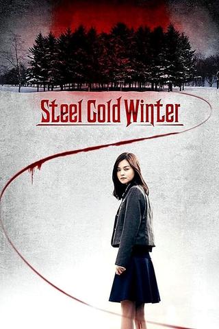 Steel Cold Winter poster