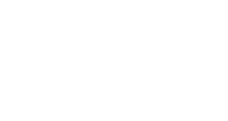 Miss Nobody logo
