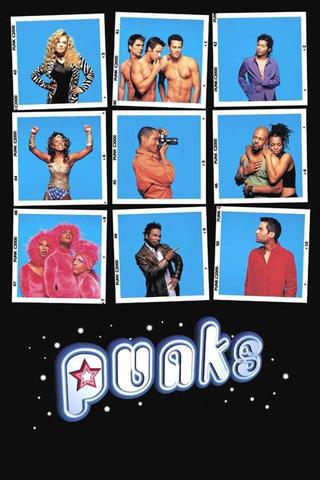 Punks poster