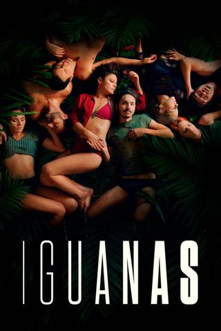 Iguanas poster