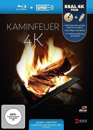 Kaminfeuer 4K poster