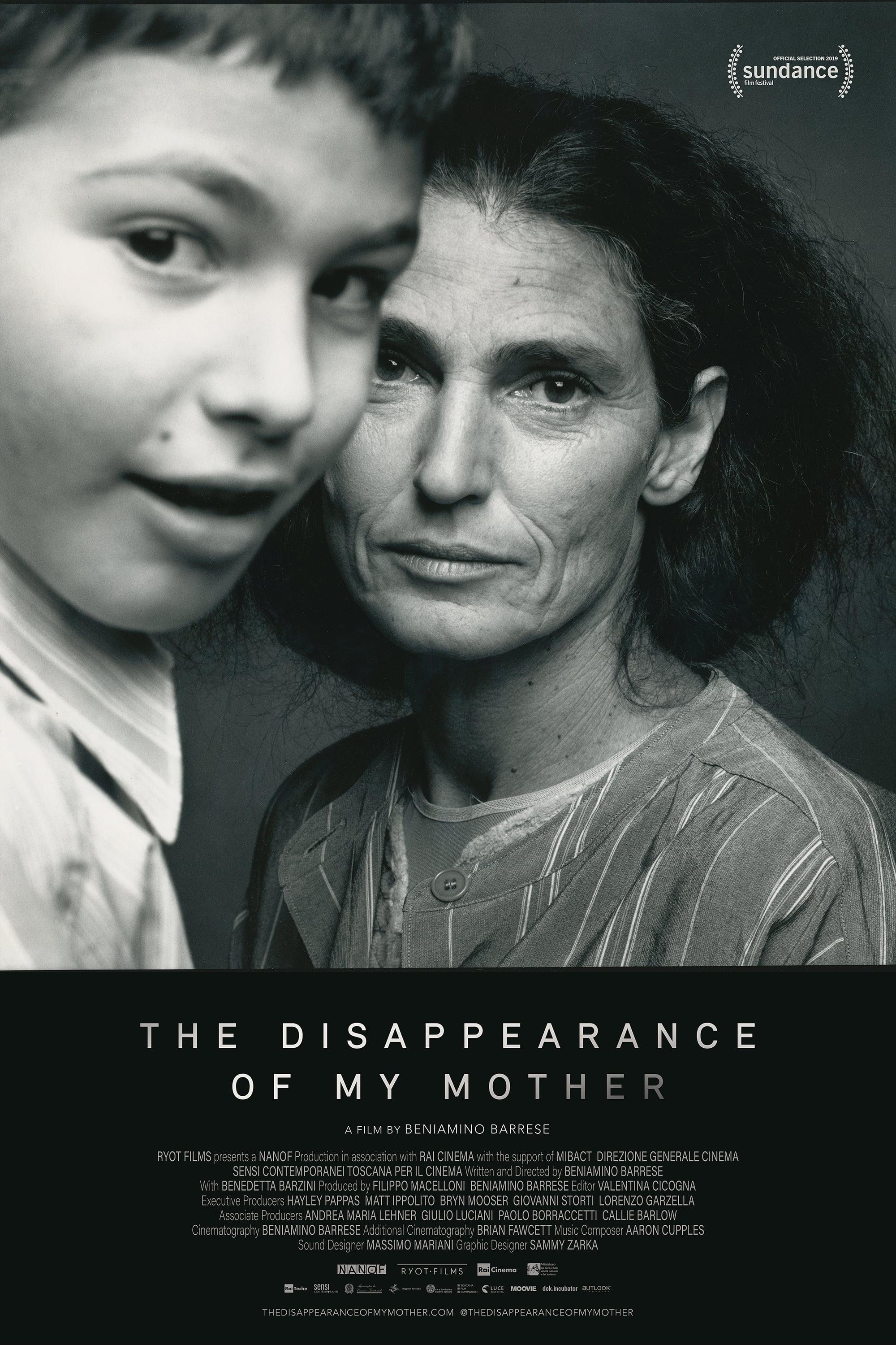 The Disappearance of My Mother poster