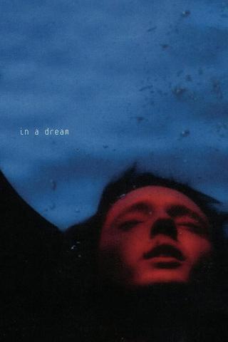 In A Dream EP Live poster