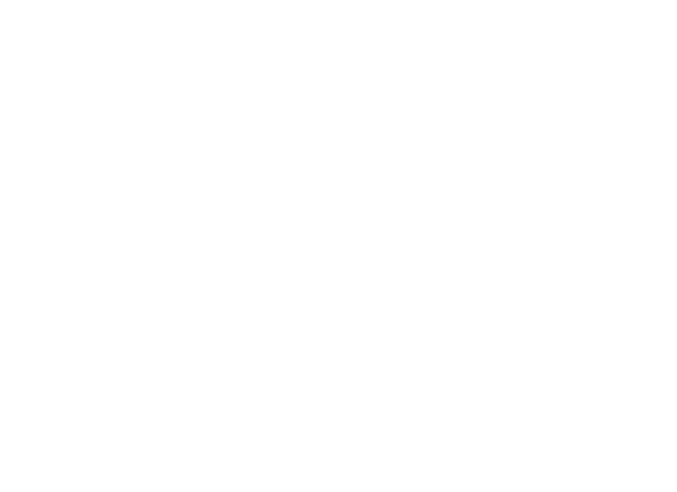 Blind Fury logo